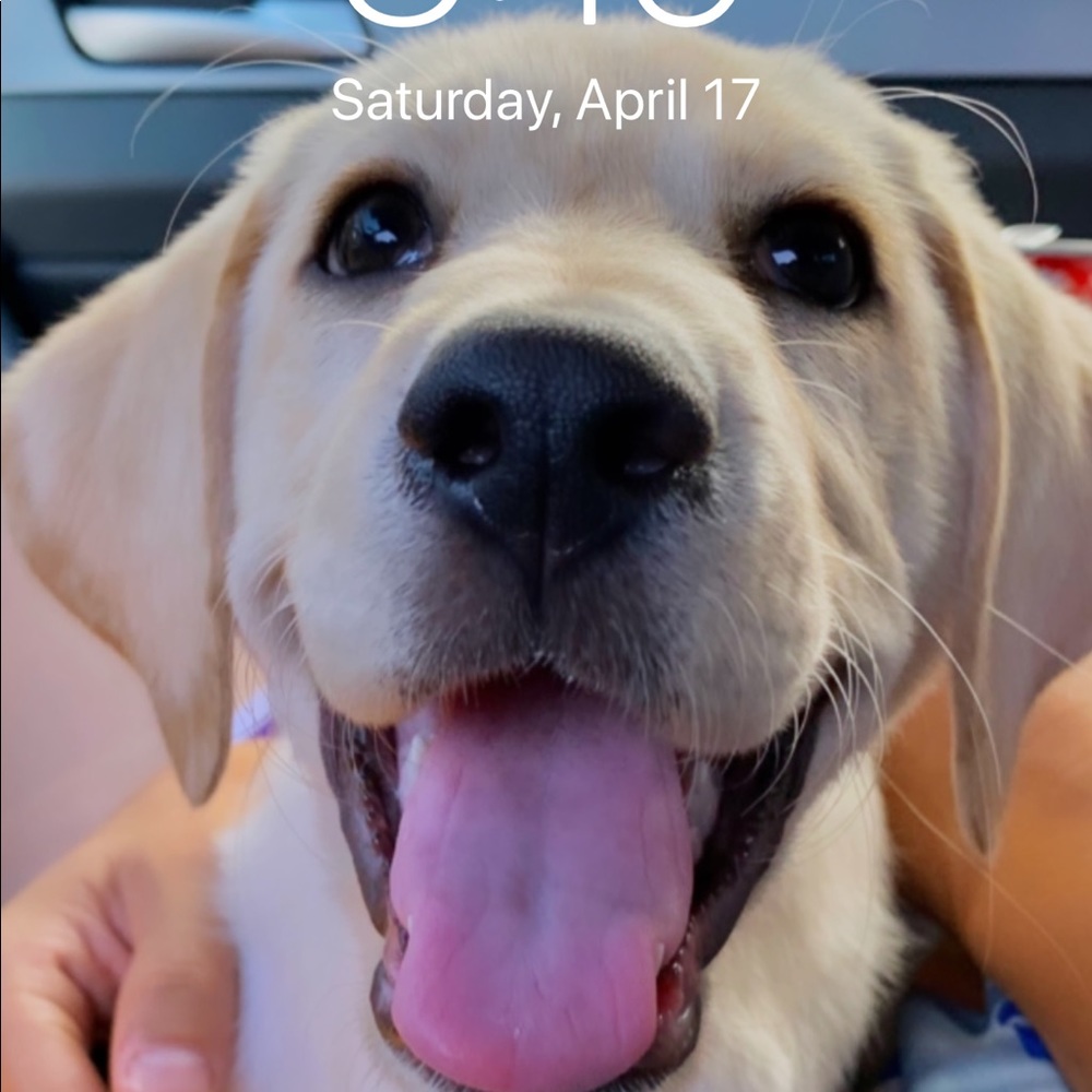 Meet your Posher, Marie